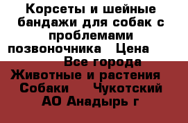 Корсеты и шейные бандажи для собак с проблемами позвоночника › Цена ­ 2 500 - Все города Животные и растения » Собаки   . Чукотский АО,Анадырь г.